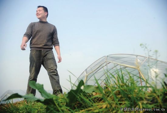 芦林湖藕带种植技术