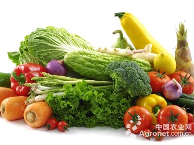 黄心菜种植时间和方法用肥量