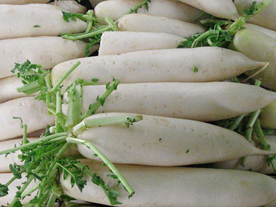 京薯6号紫薯种植技术